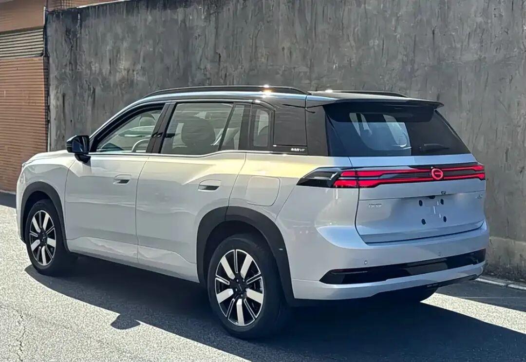 扎克约翰逊领跑慈善精英赛冲冠