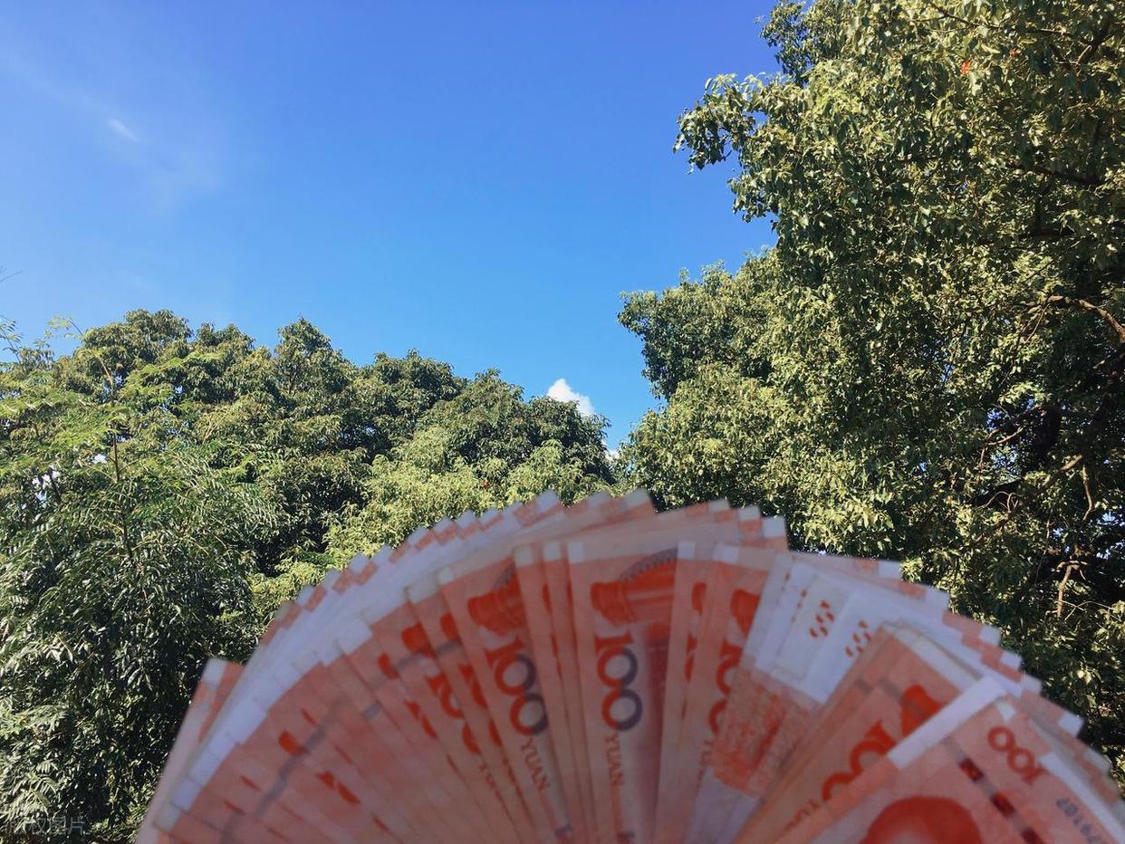 尼克斯五虎最贵球星卡：布朗森破纪录