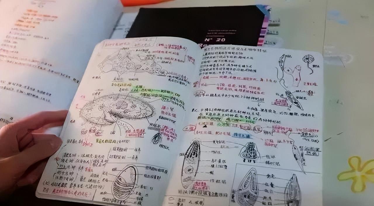 近十年季后赛抢断榜：詹姆斯位列第五，第一名很多人肯定想不到