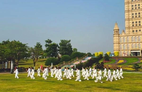乐虎体育公司简介